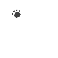 Hilystarry animals 動物 手繪 footprint Sticker