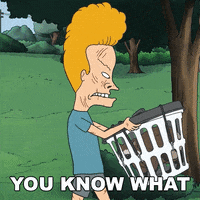 You Get It Beavis And Butthead GIF by Paramount+