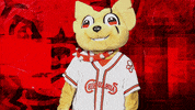 El Paso Reaction GIF by El Paso Chihuahuas