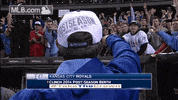 kc GIF by MLB