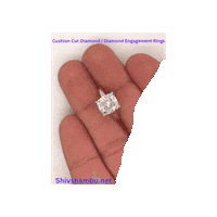 Heart Love Sticker by Shiv Shambu