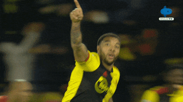 Happy Celebration GIF by MolaTV