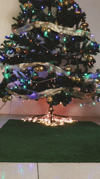 Stop Motion Christmas GIF by cintascotch