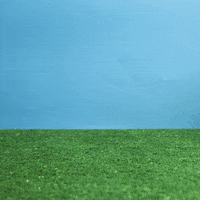 Coffee Rabbit GIF by cintascotch