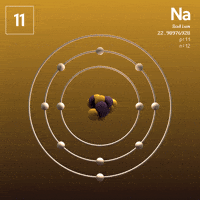 Loop Visuals GIF by xponentialdesign