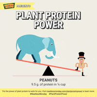 Plant Based Vegan GIF by Meatless Monday