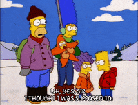 homer simpson GIF