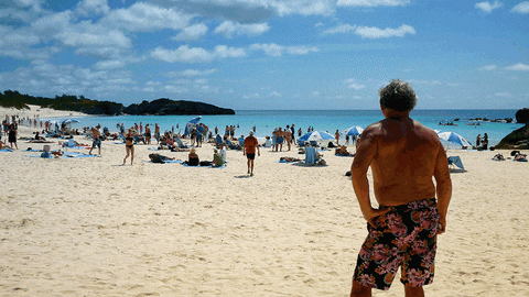 beach bermuda GIF by Doctor Popular
