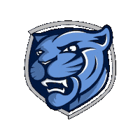 somersetpanthers somerset academica somerset panthers somerset academy Sticker