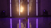 Washington Huskies Softball GIF by NCAA Championships