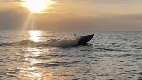 United24_Media giphyupload GIF