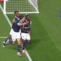 The Den Hug GIF by MillwallFC