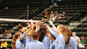 athletics volleyball GIF by GreenWave