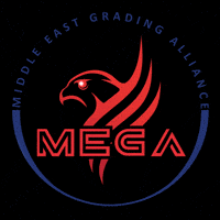 Graded GIF by MEGA