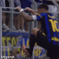 Inter Milan Argentina GIF