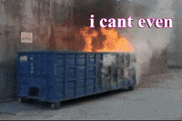 Dumpster Fire GIF