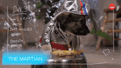 Oscars Puppies GIF by BuzzFeed