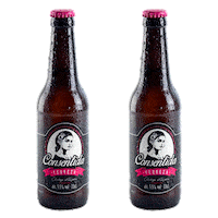 Chin Chin Beer Sticker by krdrinks