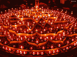 Ida B Wells November GIF