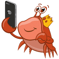 Selfie Crab Sticker by Fin Fun Mermaid