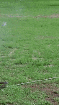 WatchPash pash pashnetwork watchpash GIF