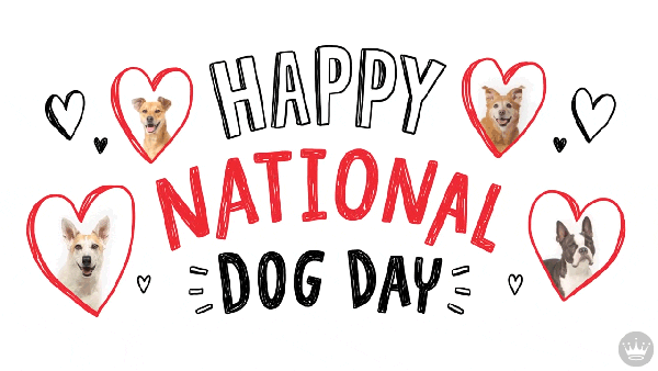 National Dog Day GIF by Hallmark Gold Crown