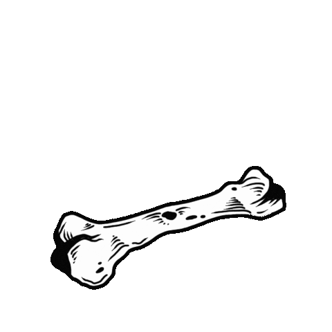 _onirma plant leaves bone branch Sticker