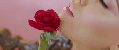 Music Video GIF by Josephina