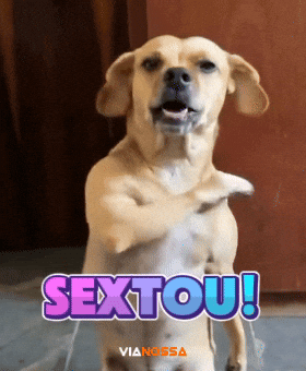 Jamal GIF by vianossamoveis