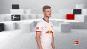 Posing Line Up GIF by Bundesliga