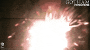 gotham GIF by Fox TV