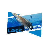 Sticker by NEXTGEN Diving Travel