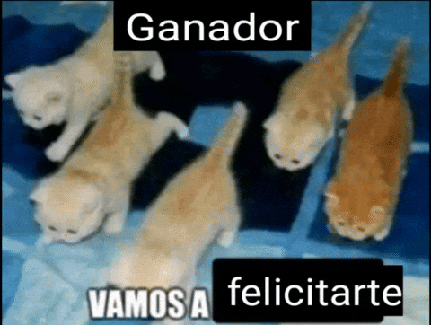 Ganador GIF