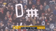 New England Patriots Football GIF by NFL