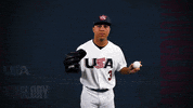 Pro GIF by USA Baseball