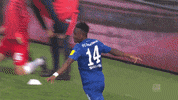 Football Soccer GIF by FC Schalke 04