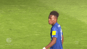 Football Soccer GIF by FC Schalke 04