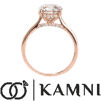 Ring Diamond Sticker by Designs By Kamni