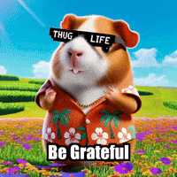 Happy Thanks GIF by Guinea Gambino