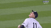 New York Yankees Sport GIF by MLB