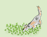 Dog Clover GIF by ToonTownClown