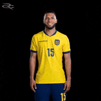 Fifa World Cup Ecuador GIF by Respective