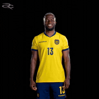 Fifa World Cup Ecuador GIF by Respective