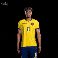 Fifa World Cup Ecuador GIF by Respective