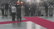 francois hollande archive GIF by franceinfo