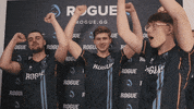 Team Celebrate GIF by Rogue