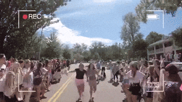 sorority dg ole miss delta gamma GIF