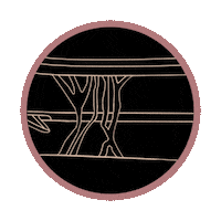 revelleax cellulite cellulitetreatment aveli cellulitereduction Sticker