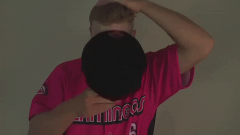 floflamingos giphygifmaker GIF