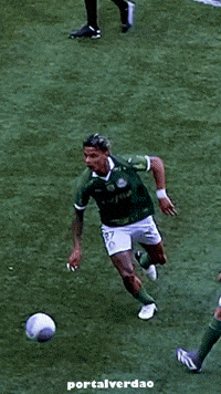 portalverdao palmeiras flamengo sep verdao GIF